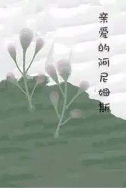 阿尼姆斯(心理学名词)