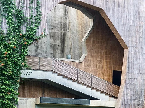 中国美术学院(综合性高等艺术学府)