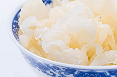 银耳(银耳科银耳属真菌)