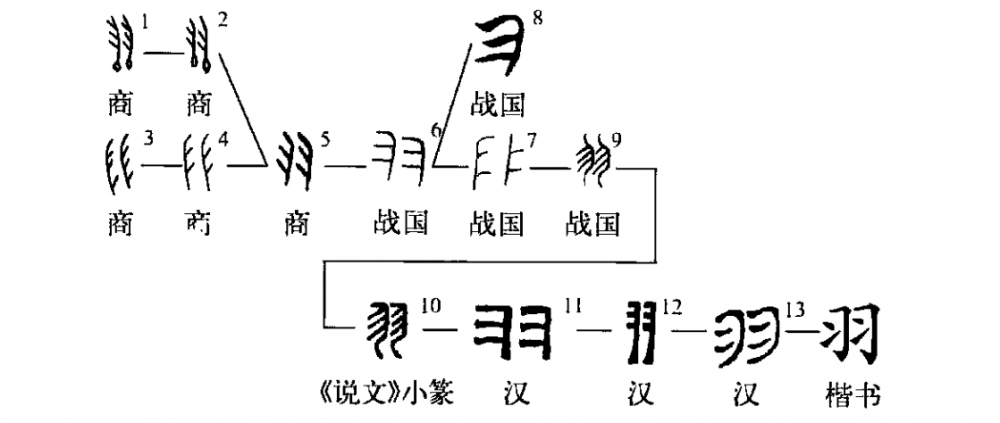 羽(汉语文字)