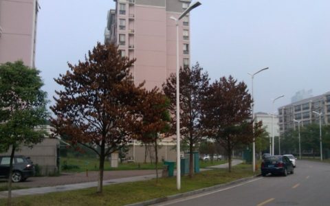 翠屏东南(江宁区的多层住宅小区)