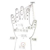 阳池穴(手少阳三焦经的常用腧穴之一)