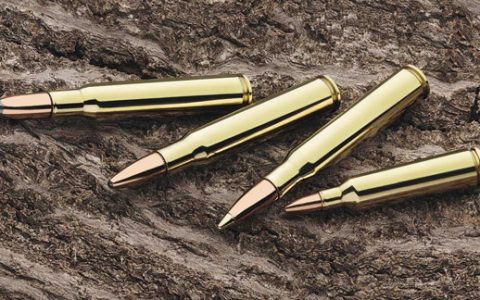 无烟火药(无烟发射葯)