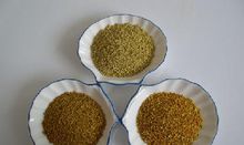 蜂花粉(花粉团加工而成的浓缩物)
