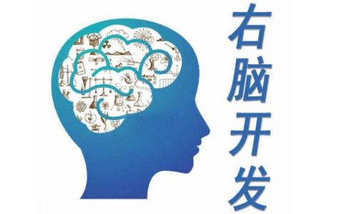 右脑开发(教育学用语)