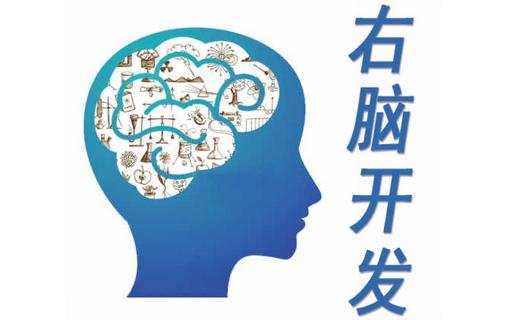 右脑开发(教育学用语)
