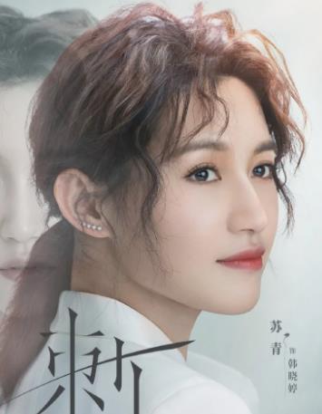 刺(2020年潘戍午执导的电视剧)