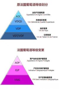 法国红酒(法国出产的葡萄酒)