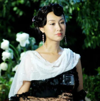 暴雨梨花(2008年王晶执导的电视剧)