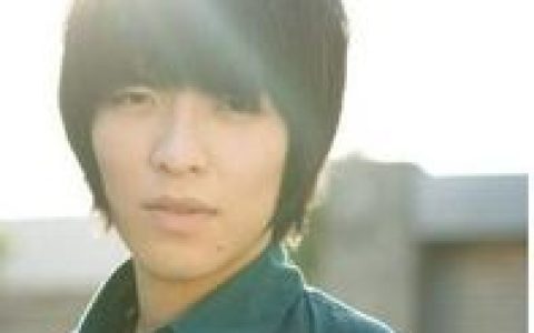 会痛的石头(一首歌曲)