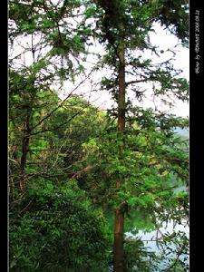 信宜天马山(信宜市乡村旅游区)