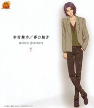幸村精市(日本漫画《网球王子》中的人物)