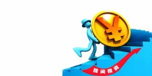 民间投资(民营企业的投资)