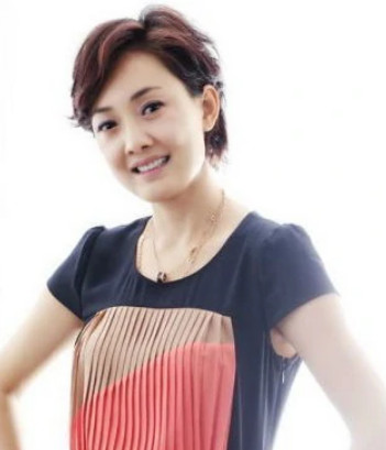 完美婚礼(2010年夏钢执导的电视剧)