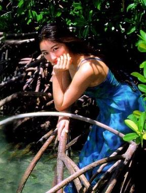 井上晴美(日本女演员)