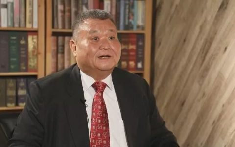 黎建南(作家，政治观察家)