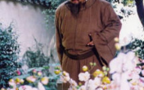 那兰提花(蝴蝶兰)