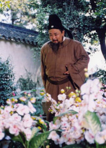 那兰提花(蝴蝶兰)