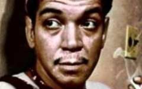 环游世界八十天(米歇尔·安德尔森执导电影)