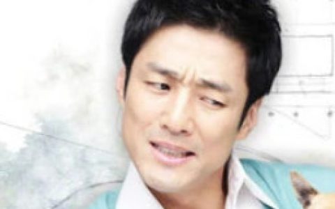 不能结婚的男人(韩国2009年金正奎执导的电视剧)