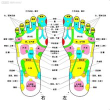 点穴(按摩手法)
