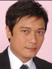 当狗爱上猫(2008年陈新侠执导电视剧)