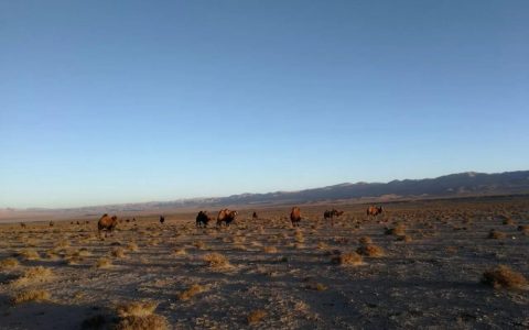 昆仑山死亡谷(那棱格勒峡谷)