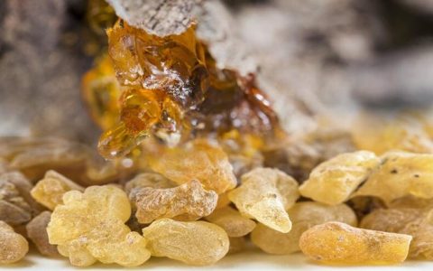 乳香精油(乳香树脂所制护肤品)