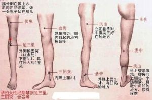 瘦腿精油(外用塑性产品)