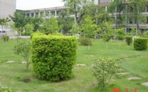 玉林实验中学(中国广西壮族自治区玉林市一所中学)