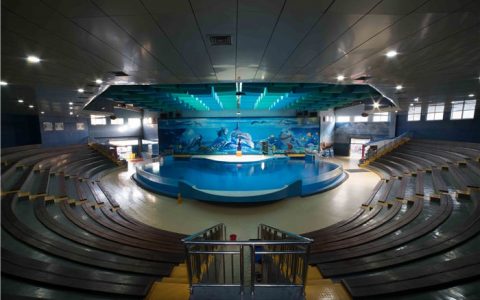 海底世界(南京市国家5A级旅游景区)