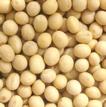 豆腐花(汉族传统小吃)