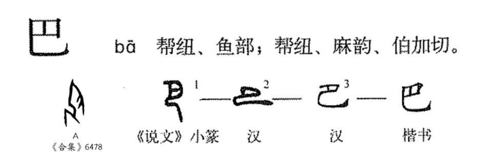 巴(汉语汉字)