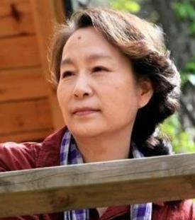 保姆(2007年刘新执导的电视剧)