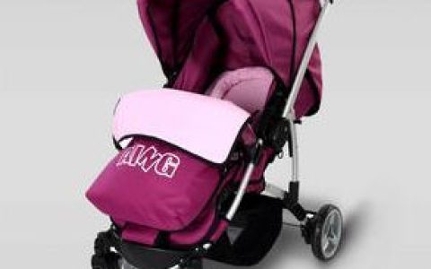 婴儿推车(婴儿的交通工具)