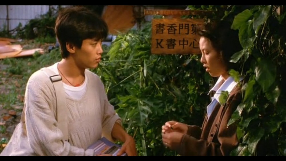 我的美丽与哀愁(1995年陈国富执导的电影)
