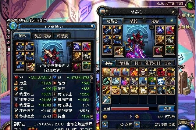 圣骑士(网游《地下城与勇士》中的角色)