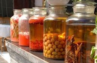 壮阳酒(补肾壮阳的酒)