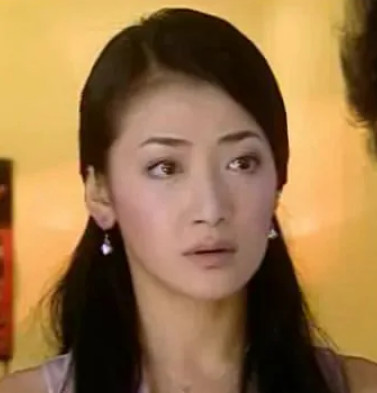 站在你背后(2004年王小康执导的电视剧)