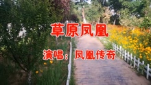 草原凤凰(由凤凰传奇演唱，2005年由孔雀唱片出版)