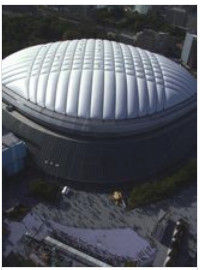 巨蛋(大型建筑)