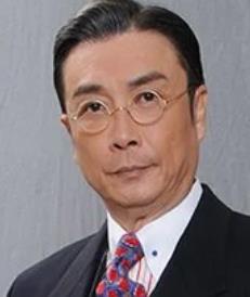 名媛望族(2012年庄伟建执导的电视剧)