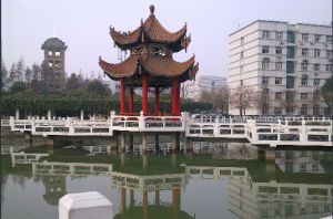 常青花园(武汉市汉口楼盘)