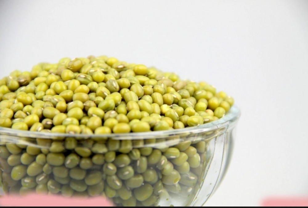 豆子(豆科八月瓜属植物)