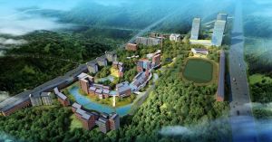 重庆文化艺术职业学院(公办全日制综合性高等艺术学校)