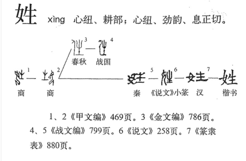 姓(汉语汉字)