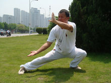 白鹤拳(福建省汉族拳术之一)