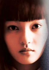 爱杀17(2006年江丰宏执导的电视剧)