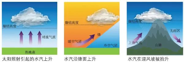 暴雨(自然天气)
