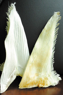 鱼翅(食材)